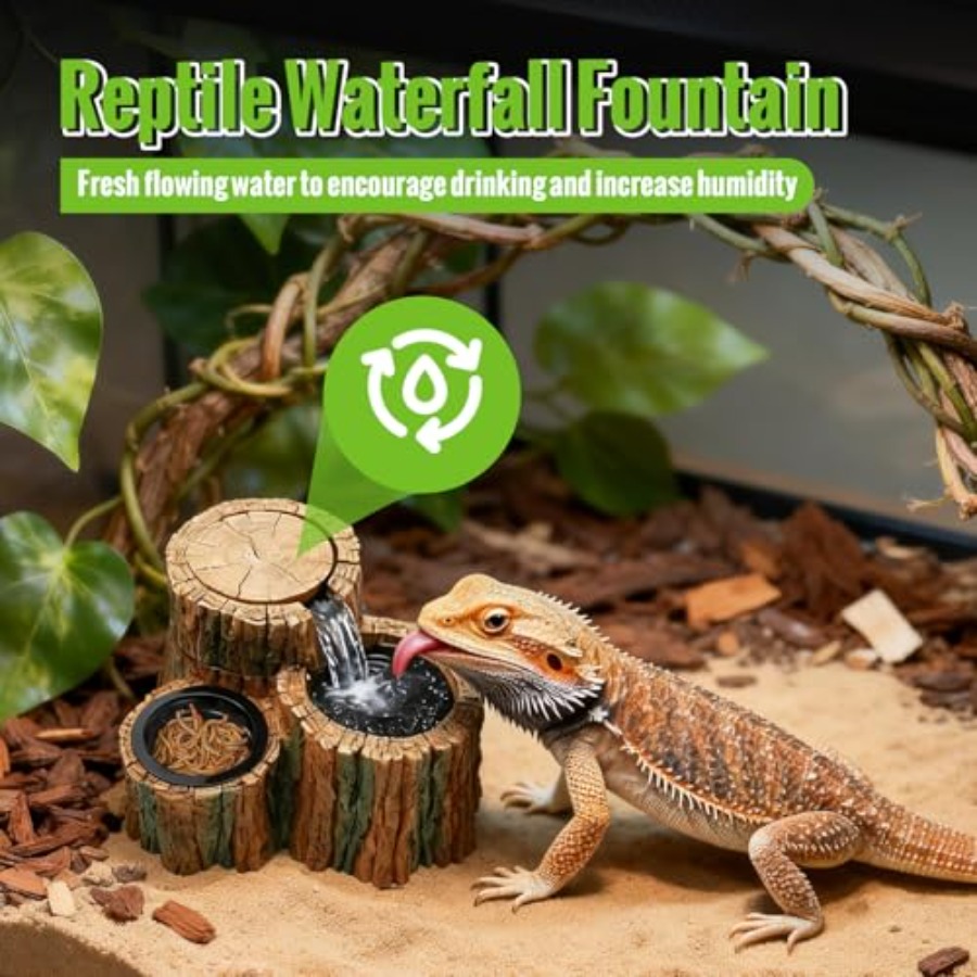 Tempat Minum Reptil 2 in 1 den - Water Dish Reptile ulasan dan harga