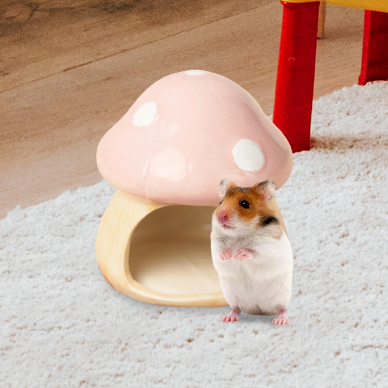 Keramik jamur Hamster Hideout  - Hide Cave Ceramic ulasan dan harga
