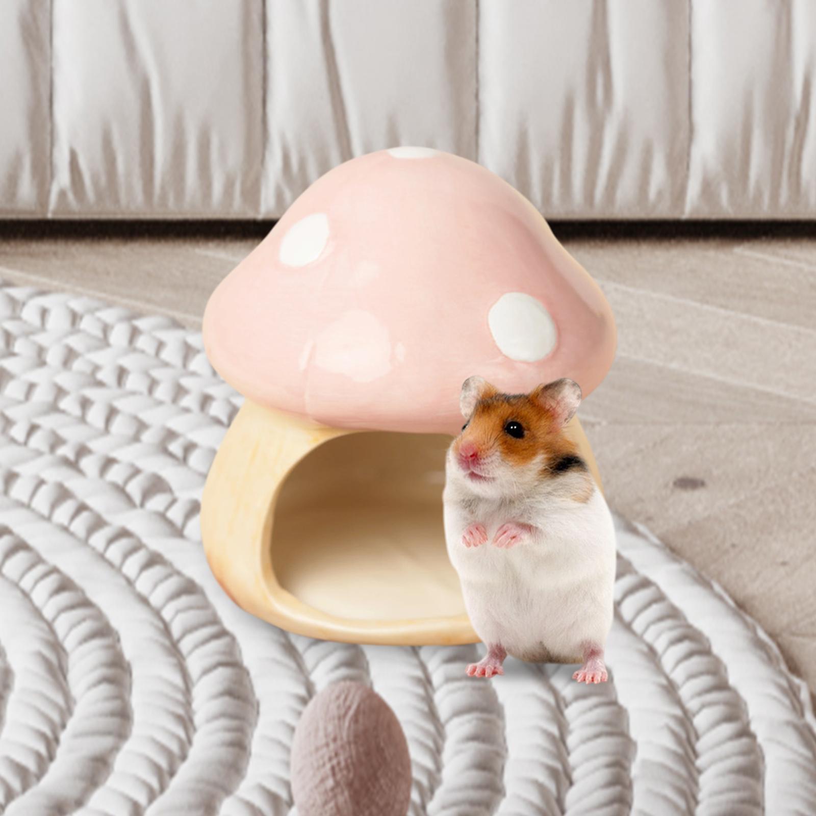 Keramik jamur Hamster Hideout  - Hide Cave Ceramic ulasan dan harga